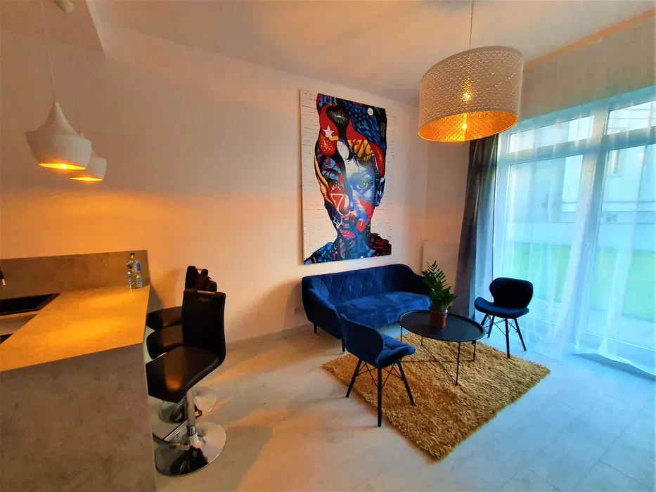 2pokoje, apartament ogrodek silownia parking Pogonowskiego, 10min od Piotrkowskiej, centrum - 1/8
