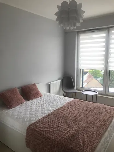 Wynajmę nowe mieszkanie 48 m2 3-pokojowe z garażem - miniatura 4