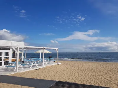 wynajmę mieszkanie przy samej plaży Gdańska Brzeźno, bezczynszowe - miniatura 3