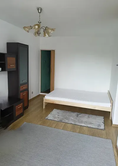 Duże mieszkanie z garażem w ścisłym centrum - miniatura 3