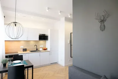 Kawalerka z wydzieloną sypialnią w centrum Torunia, pełne wyposażenie, nowoczesny styl! - miniatura 3
