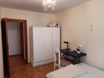 Pokój blisko Uniwersytetu Przyrodniczego , PESTKI i do centrum Poznania - miniatura 2