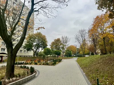 2 Pokoje-Komunikacja-blisko Metro -dostępne od już - miniatura 3