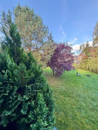 Wynajmę 3-pokojowe mieszkanie w Gdyni – Pustki Cisowskie, ogród i miejsce postojowe, balkon - miniatura 5