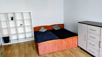 Duży pokój do wynajęcia na Brynowie od października - miniatura 2