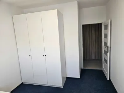 Pokój w mieszkaniu 4 pokojowym / Piątkowo / od zaraz - miniatura 4