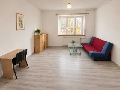Mieszkanie 2 pokojowe | 65m2 | Wilda | ul. Spychalskiego | Od 1 października | Dla studentów | Bez pośredników