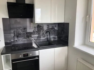 Wynajem mieszkania 2 pokojowego - miniatura 3