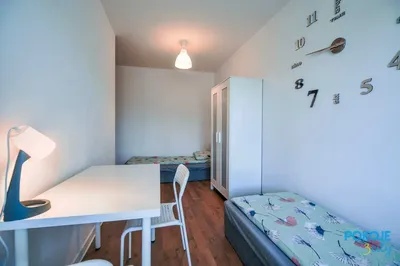 Pokój od zaraz do końca września! Gdynia Morska 174 Grabówek - miniatura 4