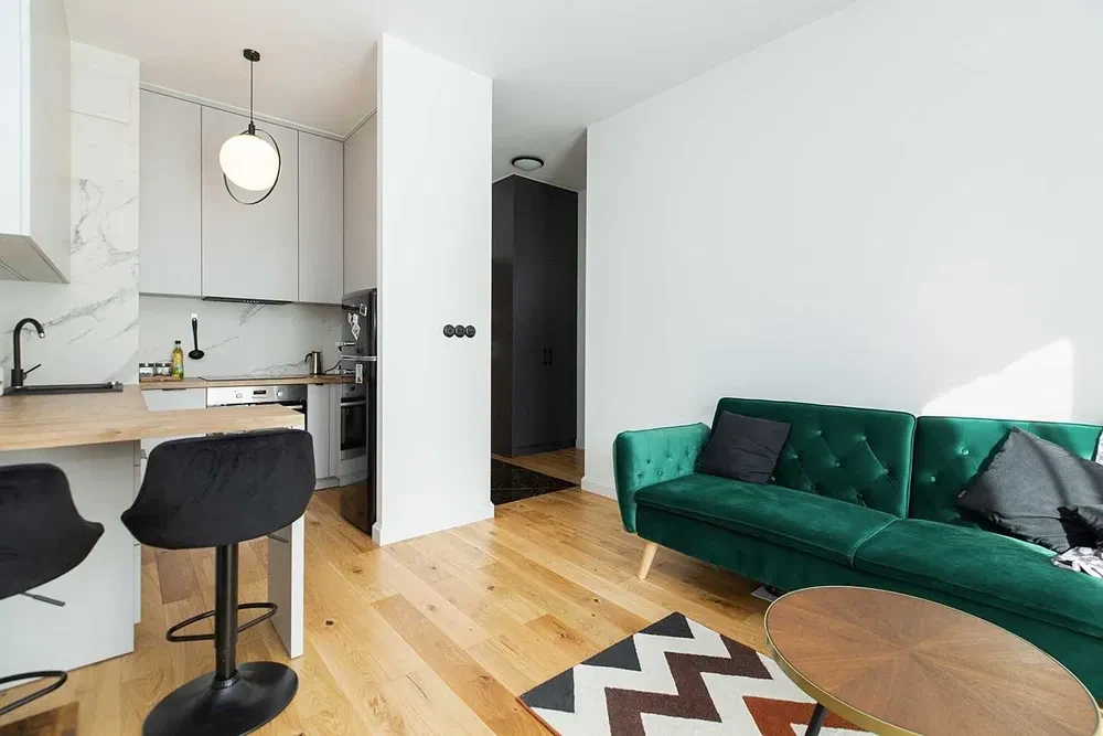 Piękne 2 pokoje, apartamentowiec, metro, stara Praga, bezpośrednio - 1/31