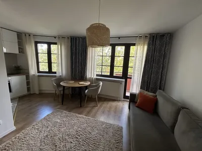Wynajmę mieszkanie 31,3 m2 cicha i zielona okolica (blisko Modlińskiej) - miniatura 4