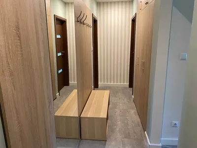 Wynajmę przestronne mieszkanie w Katowicach Śródmieściu - miniatura 2