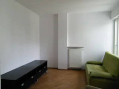 Mieszkanie 1-pokojowe do wynajęcia - miniatura 5