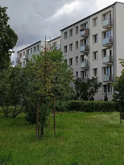 Wynajmę 3 pokoje na zielonej Sadybie, blisko na SGGW i Politechnikę Warszawską - miniatura 3