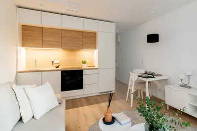 Studio- Wilanowska - akceptujemy zwierzęta