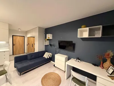 wynajmę kawalerkę, Żupnicza 18, Soho 18, Praga-Południe, Warszawa - miniatura 4