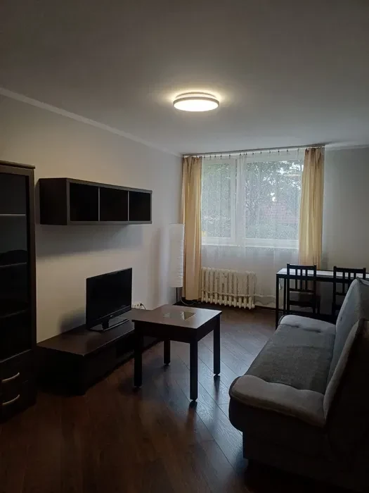 Wynajmę mieszkanie od 1.10 ok ul Dobrej - 1/7