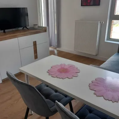 Mam na wynajem mieszkanie Gdansk,Srodmiescie,ul.Popieluszki