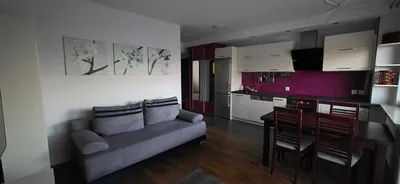 Mieszkanie 51m2 w Centrum dostępne od zaraz - miniatura 2