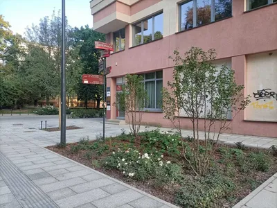 Pokój w centrum Łodzi przy Piotrkowskiej i parku Sienkiewicza - miniatura 3