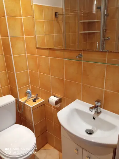 Mieszkanie 50m2 do wynajęcia - miniatura 4