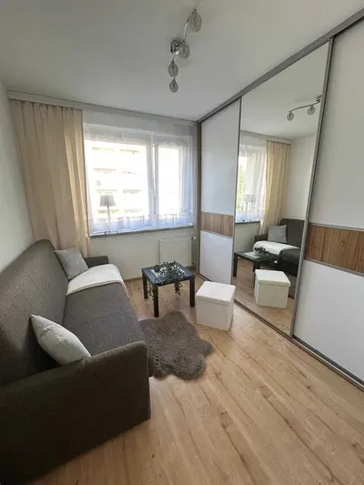 Mieszkanie 2-pokojowe, umeblowane, po gruntownym odświeżeniu, blisko Centrum i Silesii - miniatura 3