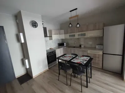 2-pokojowe mieszkanie na wynajem - miniatura 3
