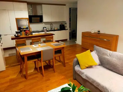 Mieszkanie z ogródkiem ul. Kijowska 44a Katowice Osiedle Franciszkańskie - miniatura 4