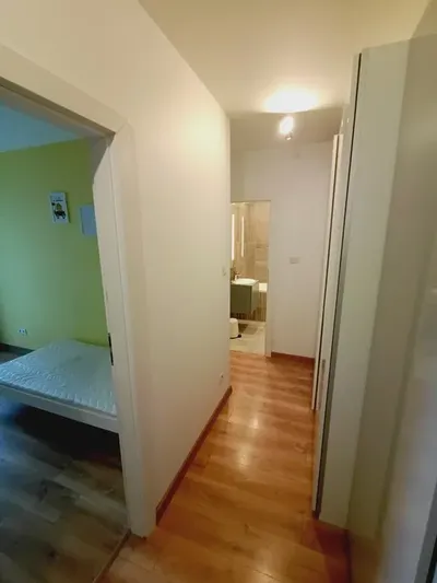 Mieszkanie do wynajęcia przy Politechnice - miniatura 3