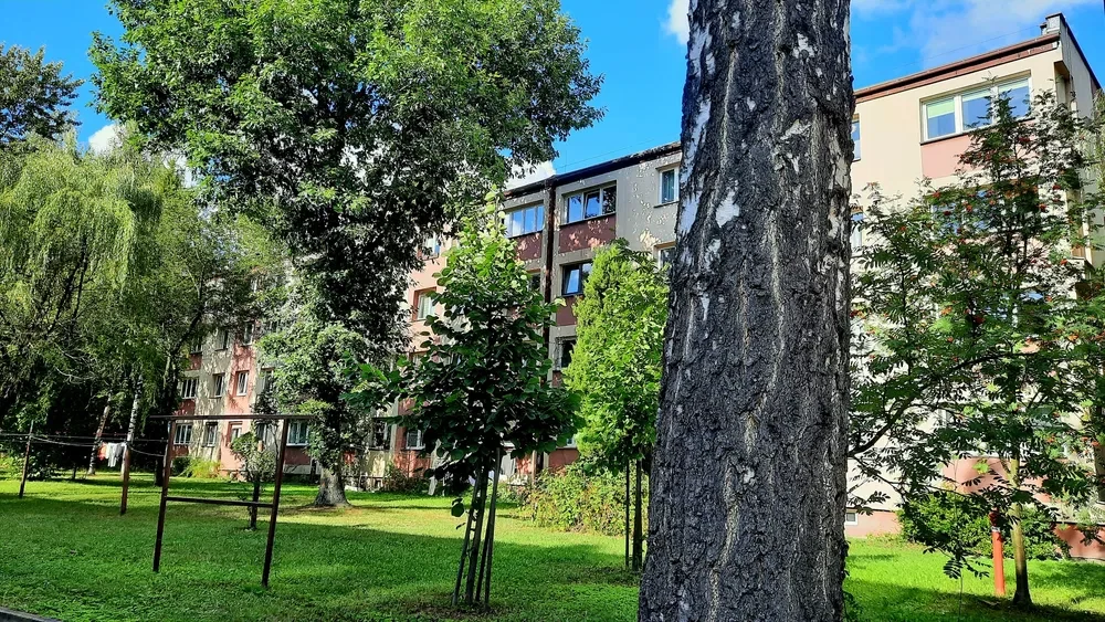 Wynajmę mieszkanie - 1/7