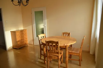 Słoneczna kawalerka 32,4 m3 Orunia Górna - miniatura 2