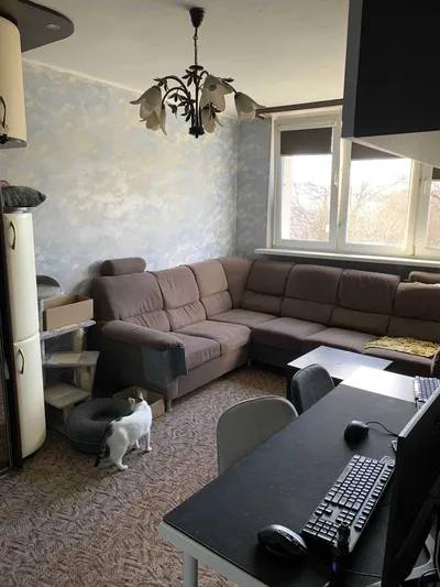 Super mieszkanie dla pary od zaraz 2900 zł za wszystko pet friendly