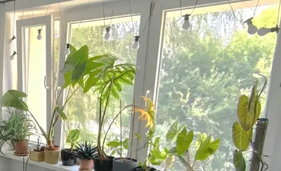 4 pokoje | blisko UE i UŚ | osiedle Gwiazdy - miniatura 2