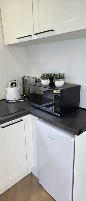 Apartament wolnostojący w centrum Olsztyna. Autonimiczny. 28m2 - miniatura 3