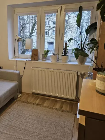 Wynajmę jednopokojowe 30m śródmieście - miniatura 3