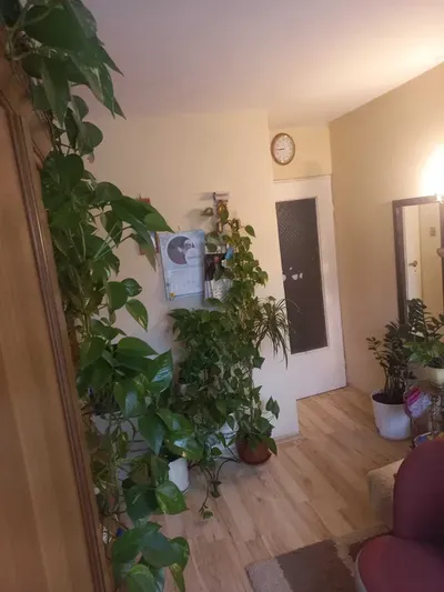 Wynajmę mieszkanie w centrum Krakowa - 2 pokoje - miniatura 2