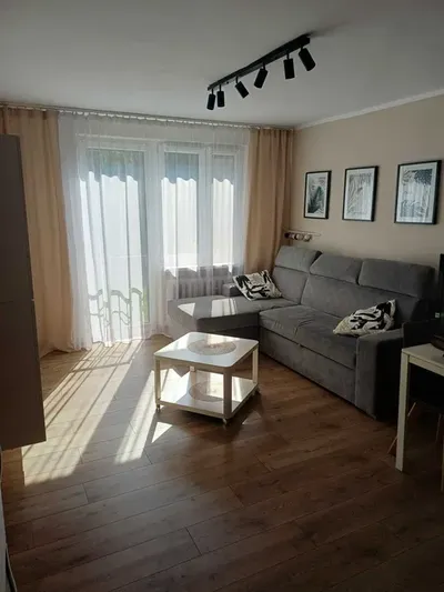 Mieszkanie do wynajęcia przy. ul. Młyńska, salon z aneksem, wysoki standard - miniatura 2