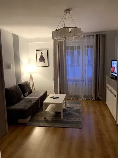 Mieszkanie dwupokojowe na wynajem. Bez prowizji - miniatura 2