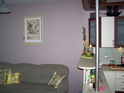 Wynajmę mieszkanie - miniatura 2