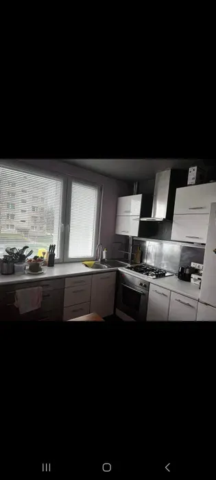 Mieszkanie do wynajęcia 3 pokoje 61m - miniatura 3
