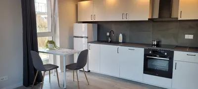 Komfortowe mieszkanie 2-pokojowe nad Maltą z miejscem w hali garażowej - miniatura 2