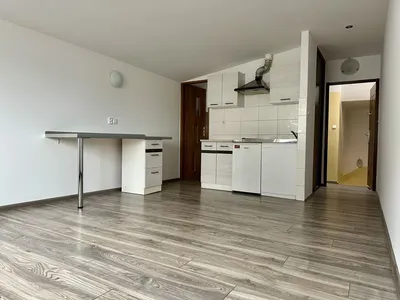 Bezczynszowa kawalerka 25 m kw Miedzyń, cena z ogrzewaniem