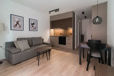 Kawalerka Romanowicza (pet friendly) - miniatura 2