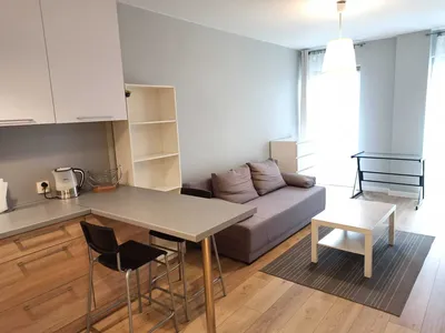 Kawalerka z gródkiem w centrum Krakowa ul. Poznańska + parking - miniatura 3