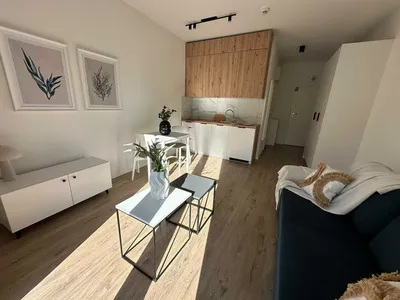 Studio - ul. Przyjaźni Polsko-Węgierskiej 6A/15– bez pośredników - miniatura 2