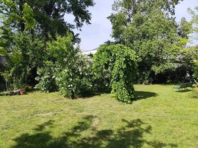 Wynajmę mieszkanie Wwa Wawer spokojnej rodzinie - miniatura 5