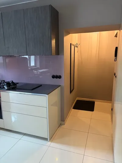 Piękne i nowoczesne 2-pokojowe mieszkanie do wynajęcia na Muranowie - miniatura 5