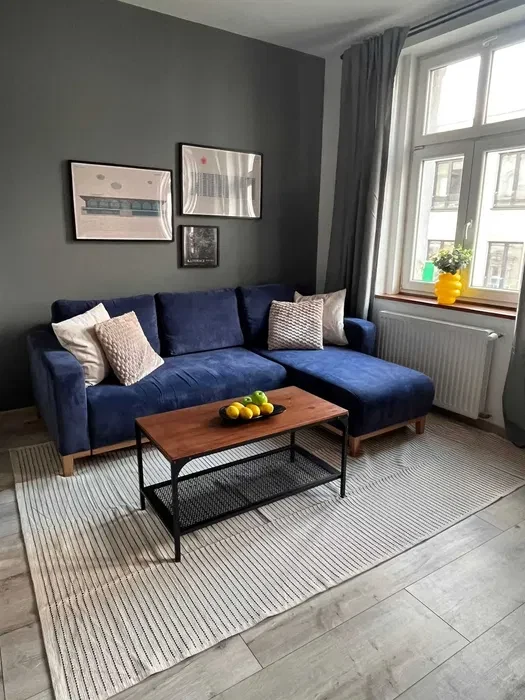 Katowice, ul. Wojewódzka, 42 m2, sypialnia, garderoba, salon z aneksem kuchennym - 1/8