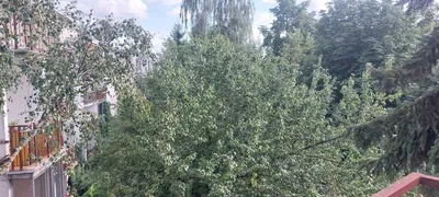Wynajmę dwupokojowe mieszkanie na Natolinie - miniatura 2