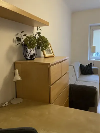 Wynajmę jednopokojowe 30m śródmieście - miniatura 2